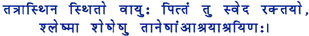 sanskrit_shloka